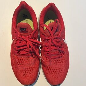 Nike Zoom  Pegasus Shoes